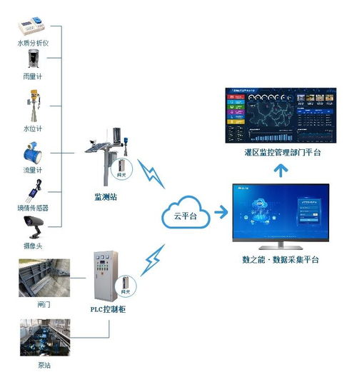 物聯網技術賦能農業 構建生物質能資源數據庫信息系統的新篇章
