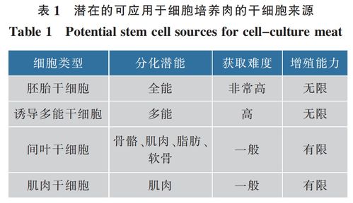 從盤(pán)中餐到體內(nèi)藥 細(xì)胞培養(yǎng)技術(shù)的跨界融合與未來(lái)展望